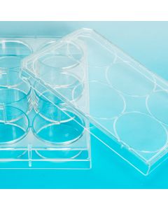 Plastic Multiwell Slide Plate, 12 Wells