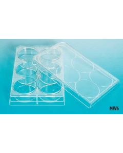 Plastic Multiwell Slide Plates