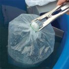Live Fish Shipping Bags